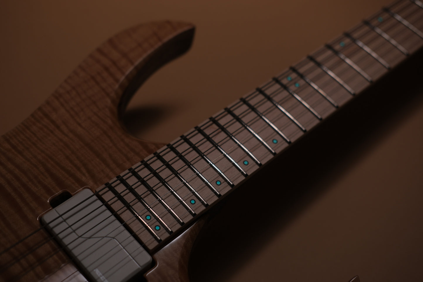 Mayones Duvell Elite 6 - Trans Natural Gloss